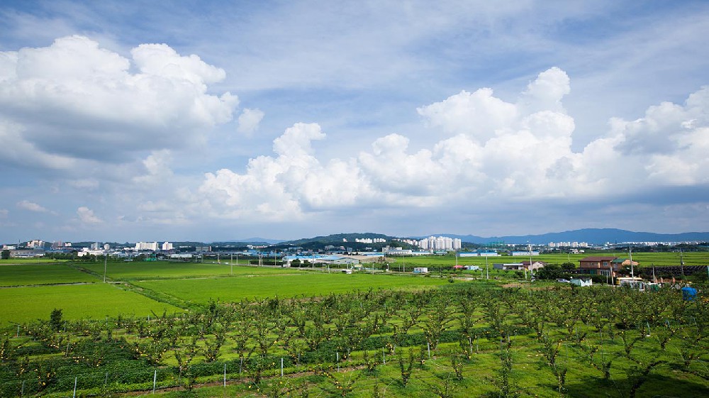 山東省臨沂沂南縣農(nóng)業(yè)局采購(gòu)農(nóng)殘檢測(cè)儀