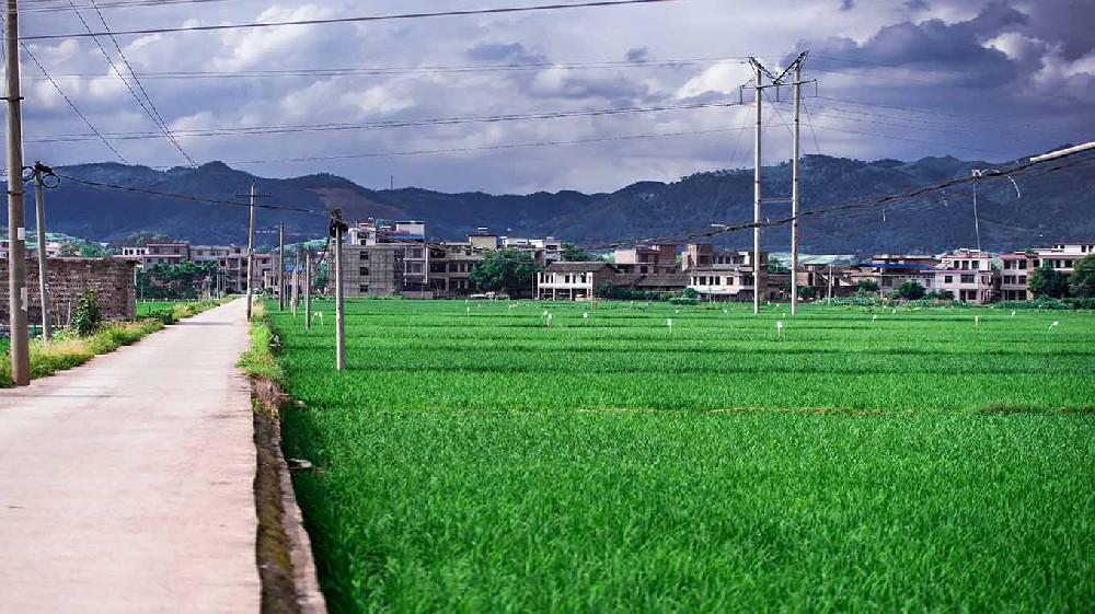 內蒙古鄉村沃畉農業服務購入天啟量子土壤檢測儀器